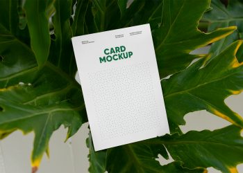 Card beetwen Ficus Free Mockup