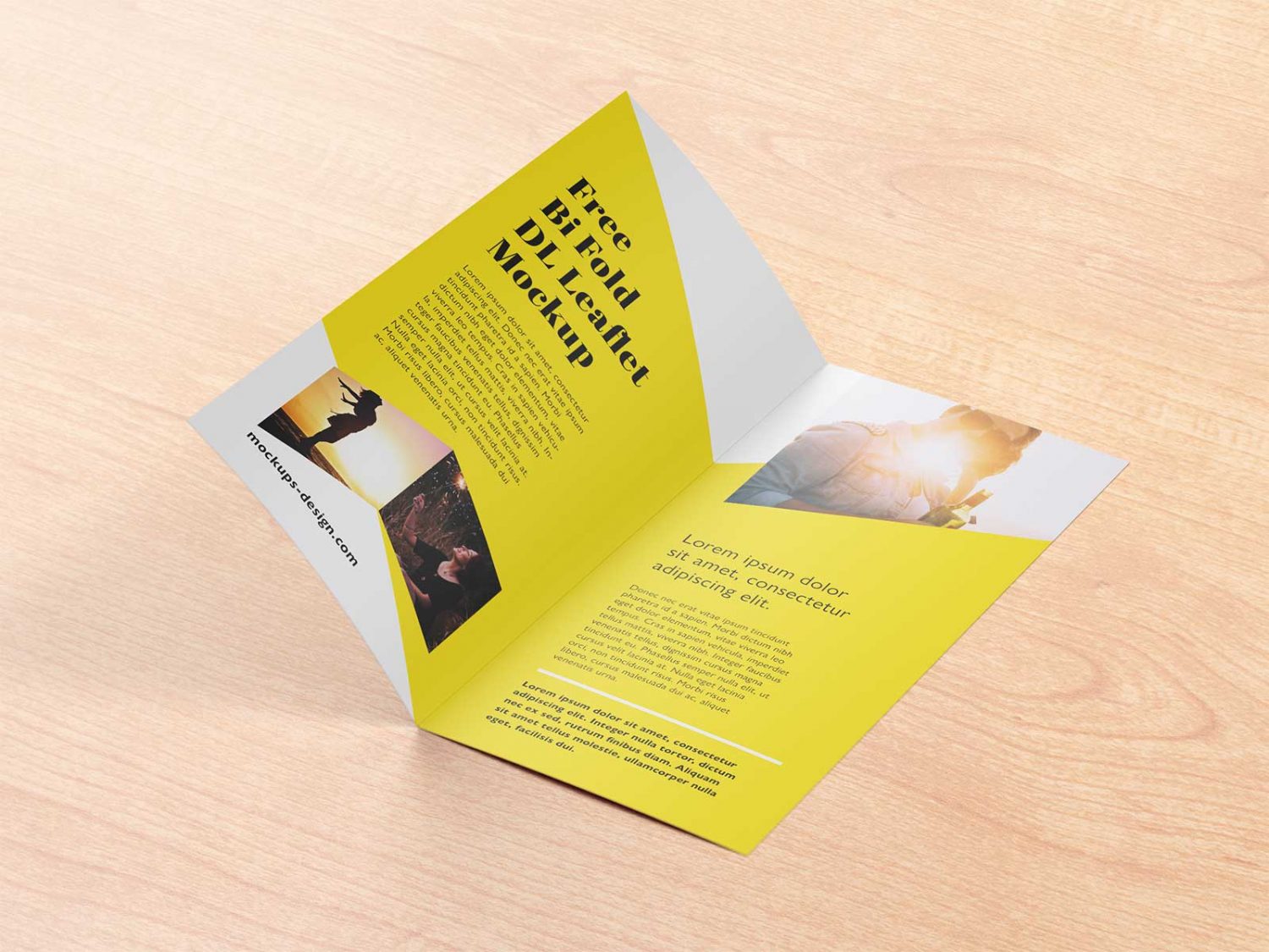 Free Bi-fold DL Brochure Mockup