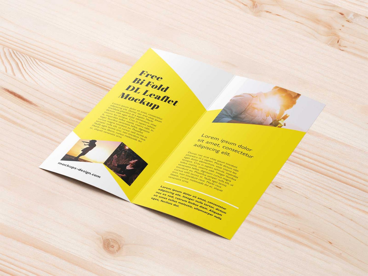 Free Bi-fold DL Brochure Mockup